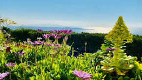 Vue mer panoramique et piscine